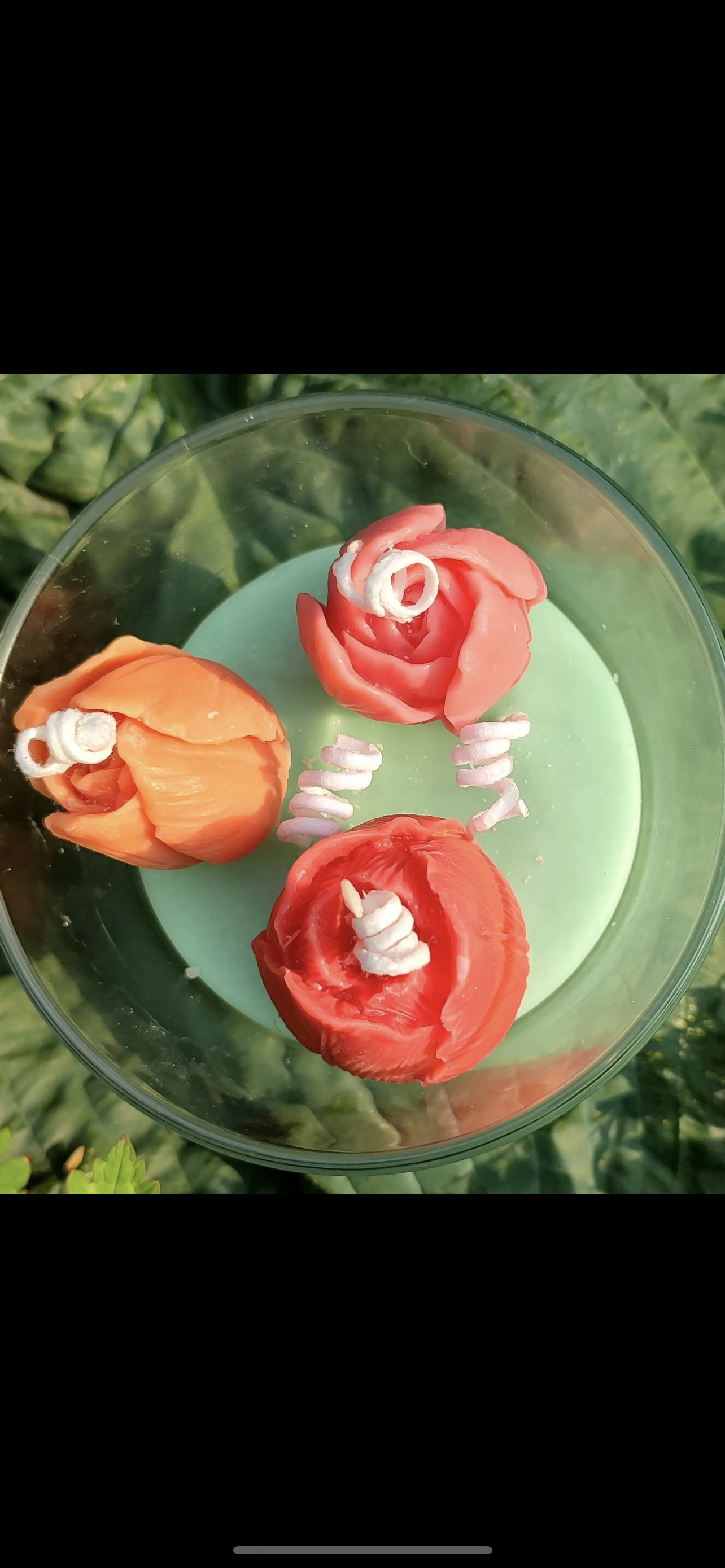 Tulipe d’Aurore — Fleur d’oranger