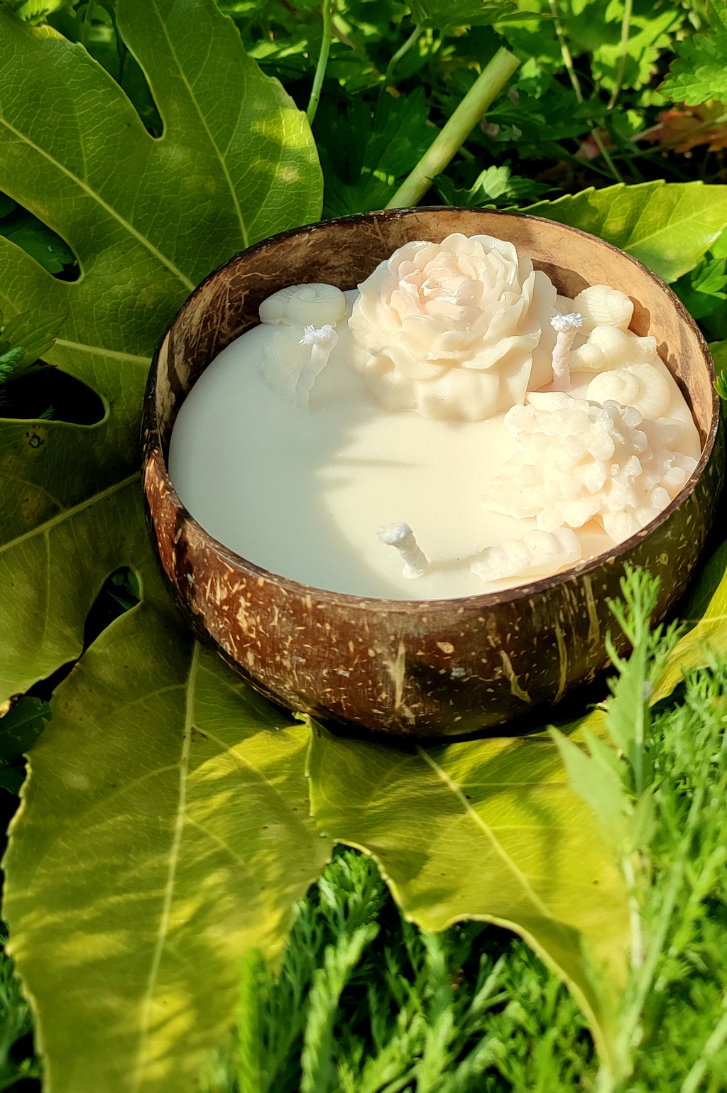 Coco Rose des Sables — Rose & chaleur minéraledouceur, féminité, ancrage