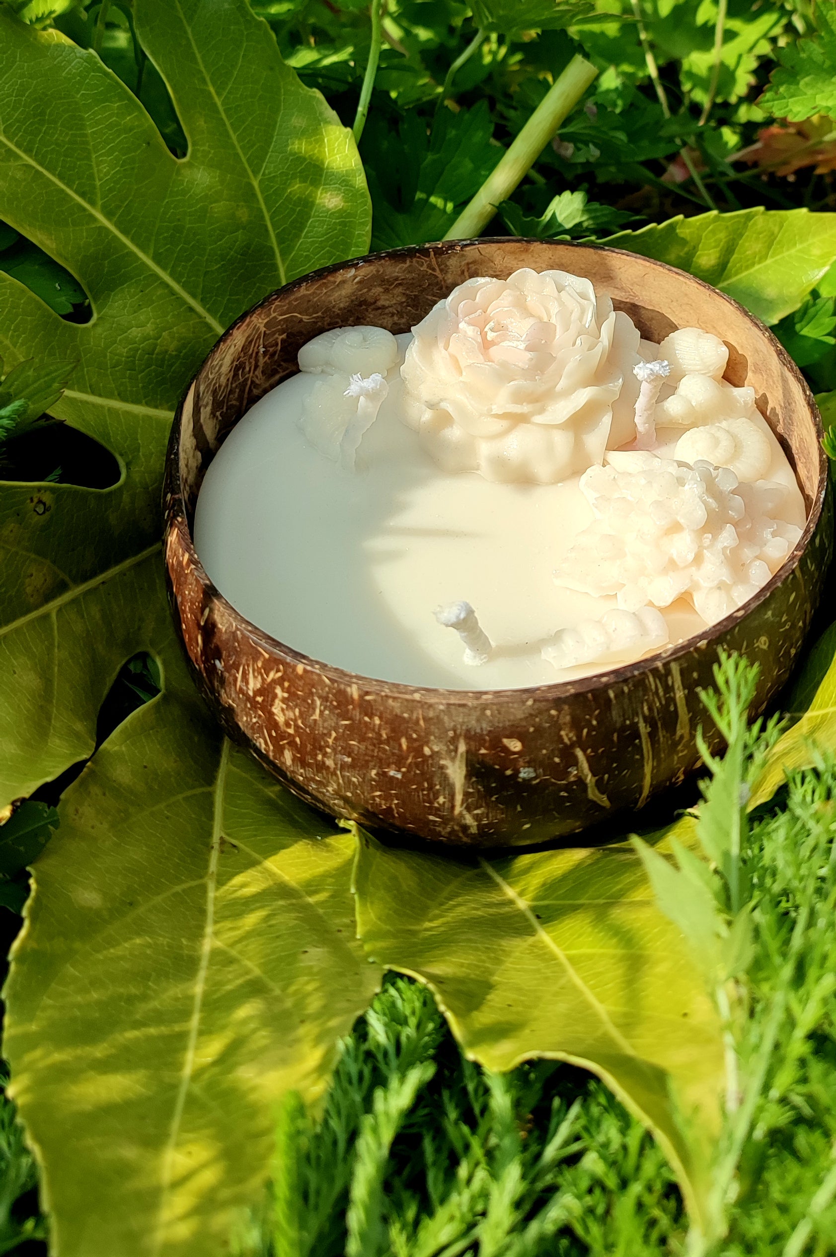 Coco Rose des Sables — Rose & chaleur minéraledouceur, féminité, ancrage